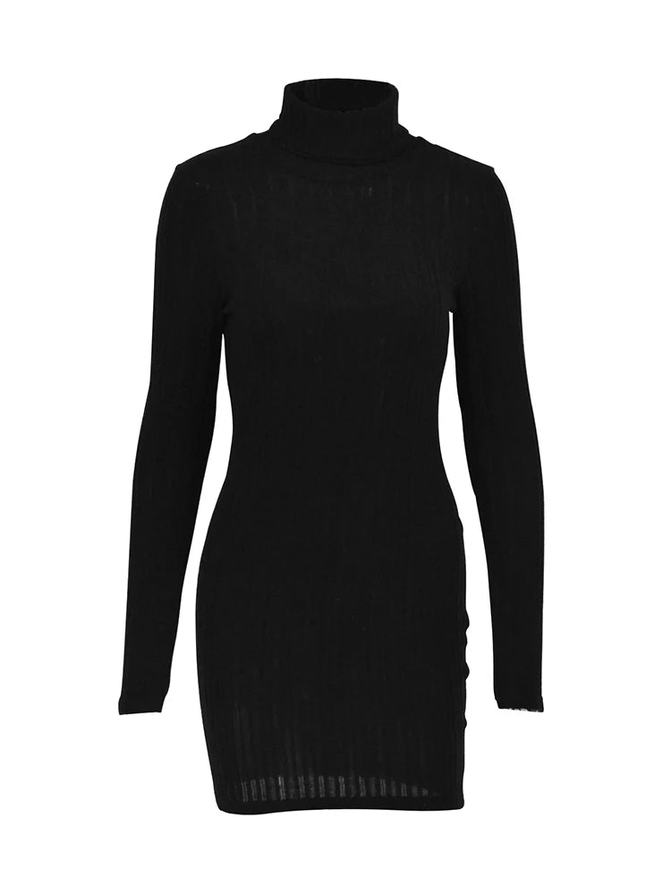 Aunna Long Sleeve Elegant Bodycon Dress